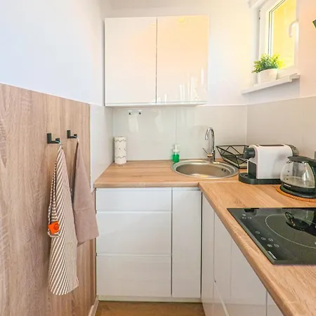 Apartment Parkowy